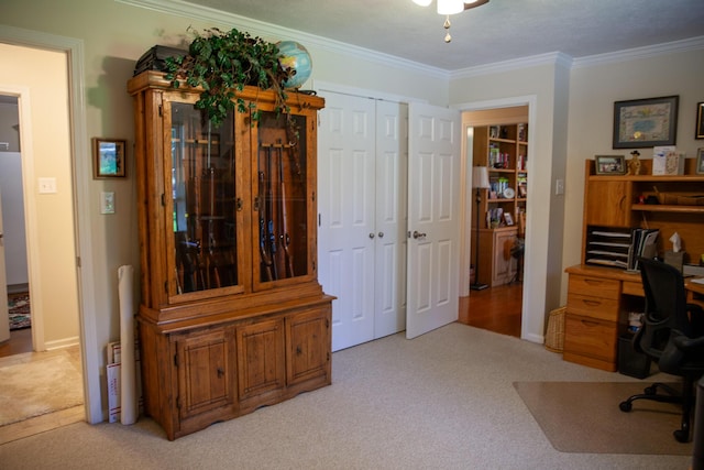 6287 Rousseau Creek Rd, Thomson, GA 30824 - office space featuring ornamental molding and light colored carpet