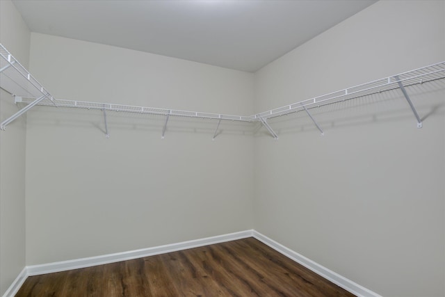 spacious closet with dark wood-type flooring