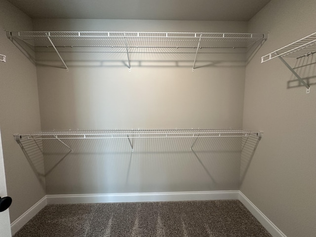 2417 Laurens St, Grovetown, GA 30813 - walk in closet with carpet floors