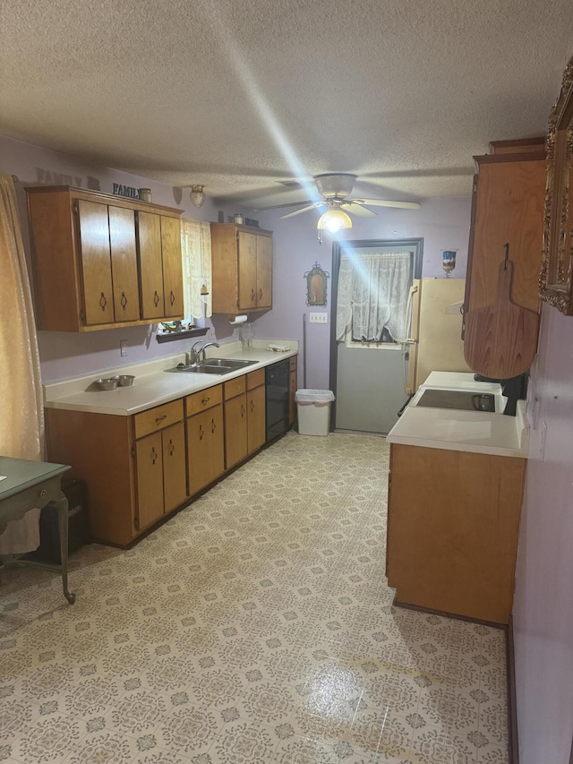 kitchen with ceiling fan, sink, black dishwasher, white fridge, and a textured ceiling