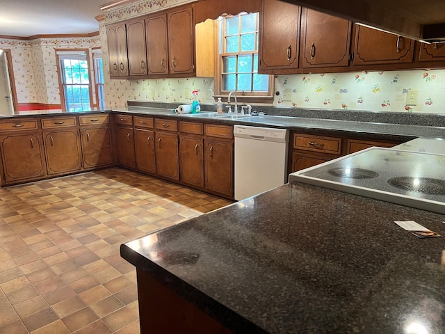 kitchen with dishwasher, a healthy amount of sunlight, crown molding, and sink