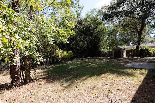 view of yard featuring an outdoor structure, fence, and a storage unit