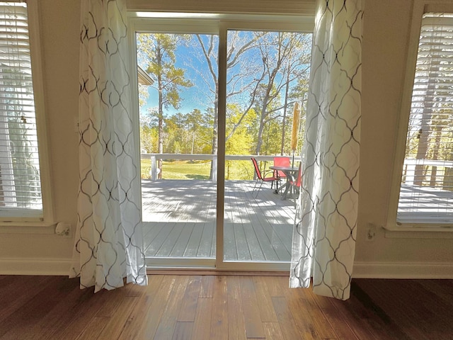 doorway with hardwood / wood-style floors and a wealth of natural light