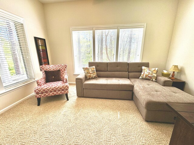 living room featuring light carpet