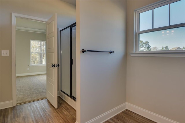 bathroom with hardwood / wood-style floors, a wealth of natural light, and walk in shower