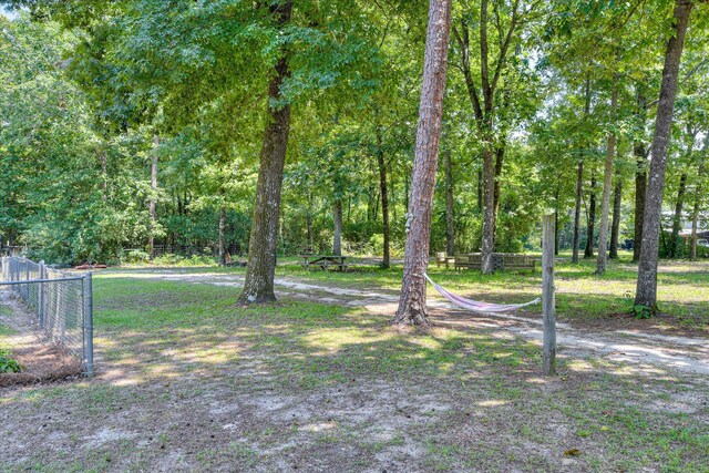 785 S Dixie Rd, Wagener, SC 29164 - photo 61