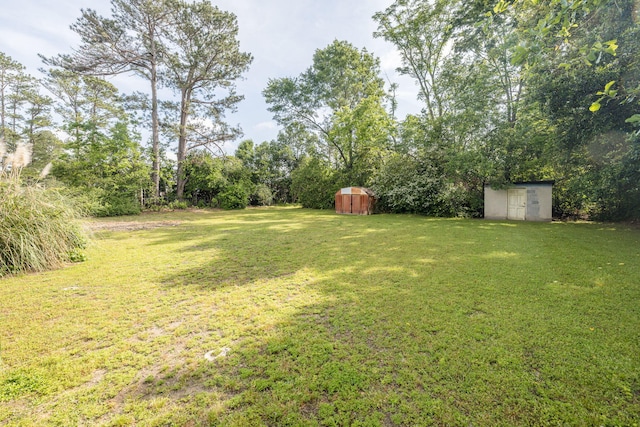 view of yard featuring a storage shed and an outbuilding