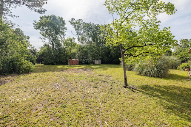 view of yard featuring an outdoor structure and a shed
