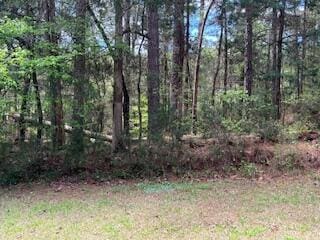 Listing photo 3 for 3-23 Brassie Dr, Mccormick SC 29835