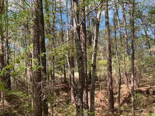 3-23 Brassie Dr, Mccormick, SC 29835