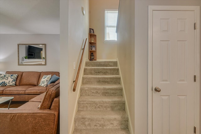 staircase featuring carpet flooring