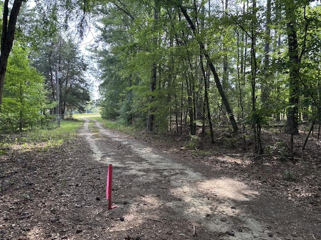 0 Union Church Rd, Thomson, GA 30824 - photo 1