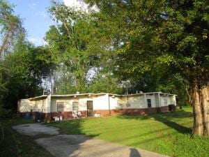 ranch-style house featuring a front yard