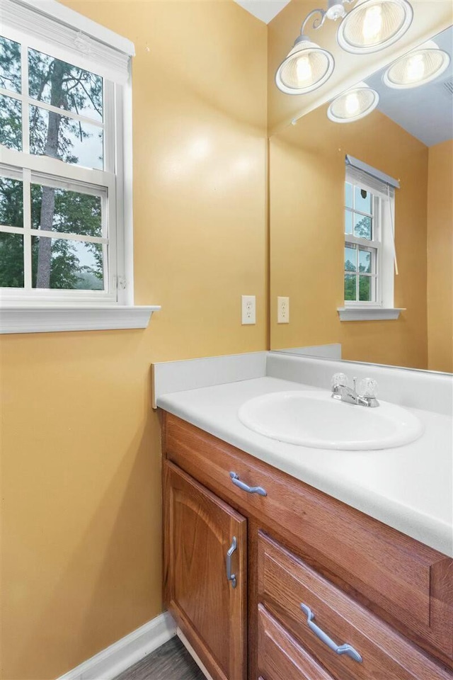 2409 Par Dr, Augusta, GA 30906 - bathroom with a wealth of natural light and vanity