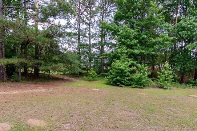 219 Devonshire Dr, Thomson, GA 30824 - view of yard