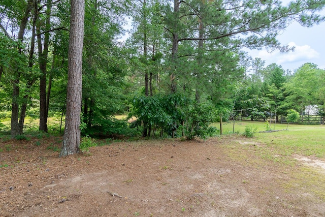 219 Devonshire Dr, Thomson, GA 30824 - view of yard