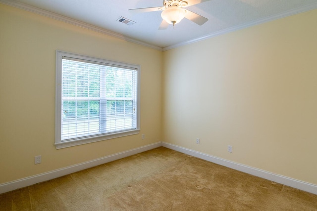 219 Devonshire Dr, Thomson, GA 30824 - spare room featuring ornamental molding, light colored carpet, a ceiling fan, and baseboards