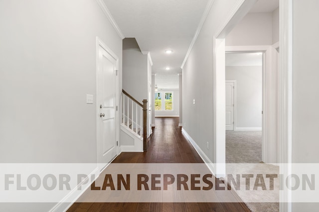 hallway with ornamental molding and dark wood-type flooring