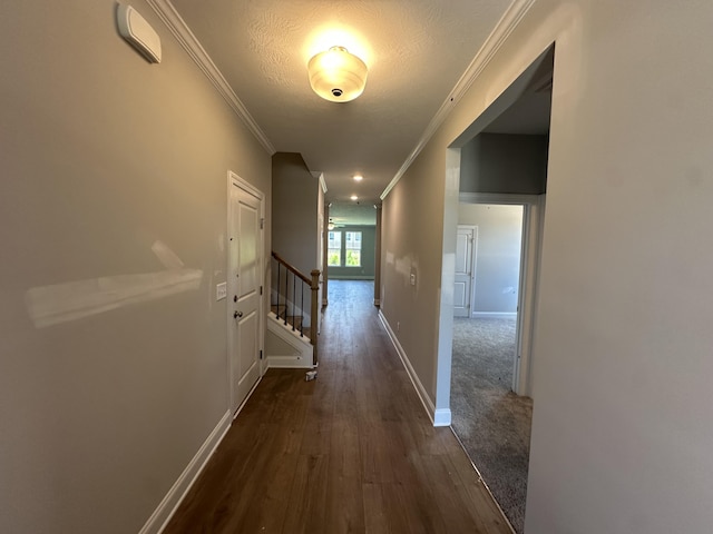 559 Hampton Dr, North Augusta, SC 29860 - photo 2
