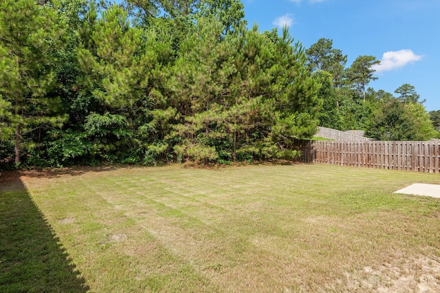 416 Millwater Ct, Grovetown, GA 30813 - photo 41