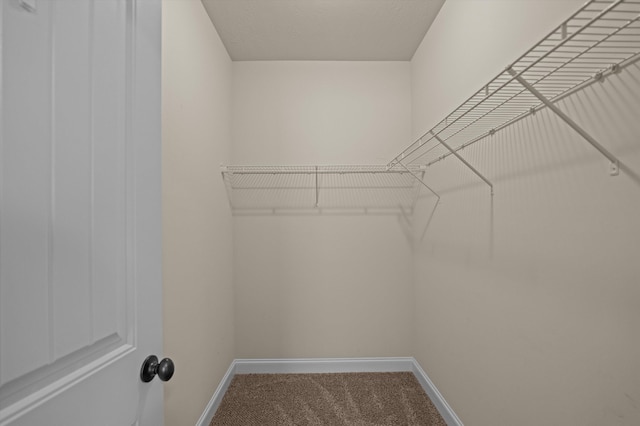 416 Millwater Ct, Grovetown, GA 30813 - photo 29
