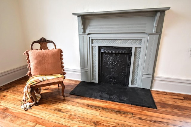 room details with a fireplace and wood finished floors