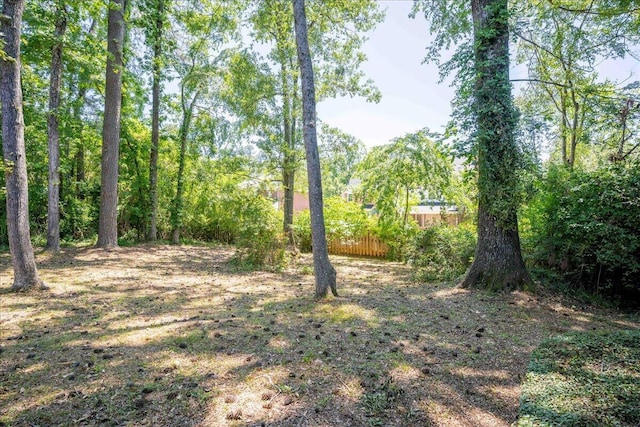 4482 Persimmon St, Evans, GA 30809 - view of yard
