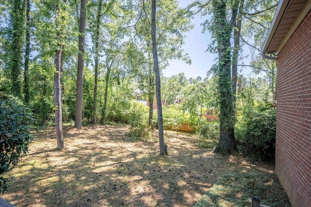4482 Persimmon St, Evans, GA 30809 - view of yard