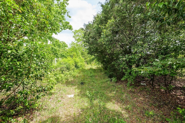 502 Katherine St, Grovetown, GA 30813 - view of landscape