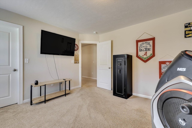 4074 Ellington Dr, Grovetown, GA 30813 - workout area featuring carpet, baseboards, and a textured ceiling