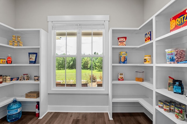 7181 Moontown Rd, Appling, GA 30802 - view of pantry