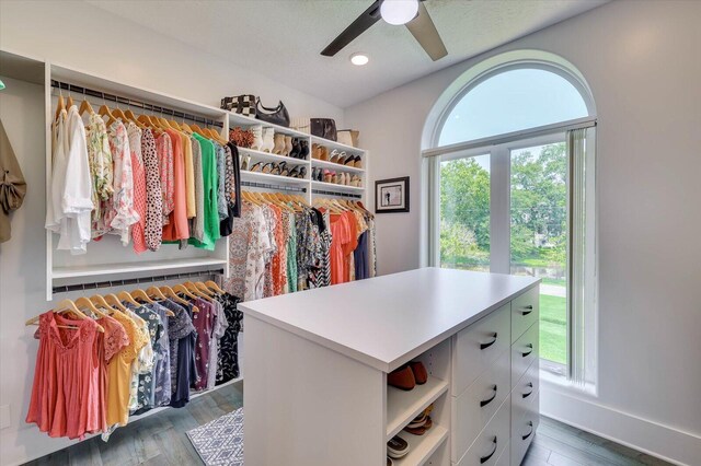 spacious closet featuring dark hardwood / wood-style floors