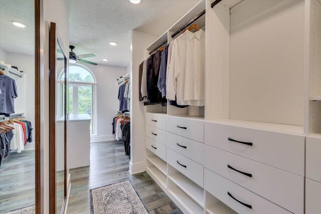 spacious closet featuring wood-type flooring and ceiling fan