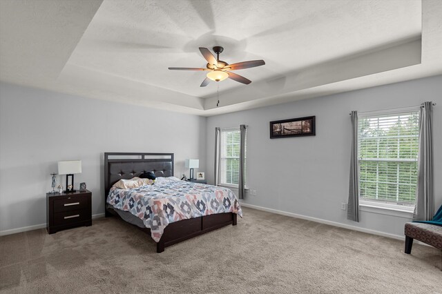 449 Brantley Cove Cir, Grovetown, GA 30813 - bedroom with a raised ceiling, carpet floors, baseboards, and ceiling fan