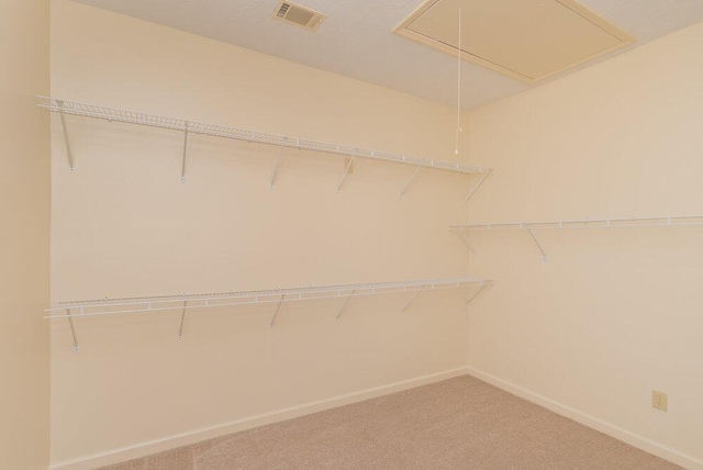 2114 Southlake Pkwy, Augusta, GA 30906 - walk in closet featuring attic access and light carpet