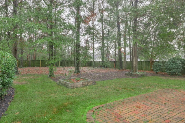 view of yard featuring a patio