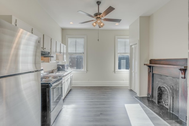 kitchen featuring ceiling fan, appliances with stainless steel finishes, a fireplace, under cabinet range hood, and wood finished floors