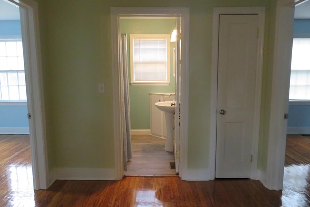 hall with dark wood-type flooring