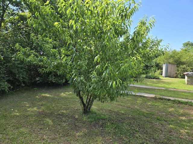 1667 Eden Hall Rd, Bradley, SC 29819 - view of grassy yard