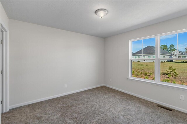 unfurnished room featuring carpet flooring