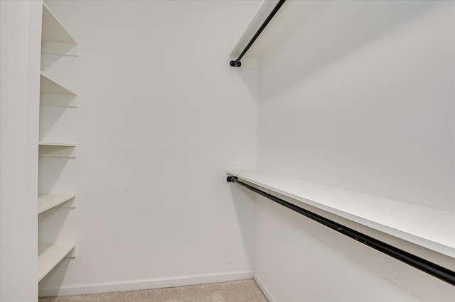 3954 Hammonds Fry, Evans, GA 30809 - spacious closet with light carpet