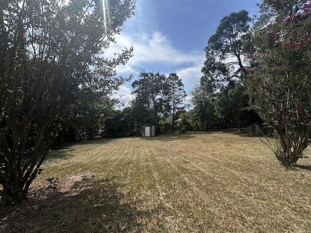 view of yard with a storage shed