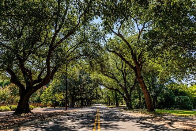 114 Pebble Beach Ct, Aiken, SC 29803 - view of asphalt street