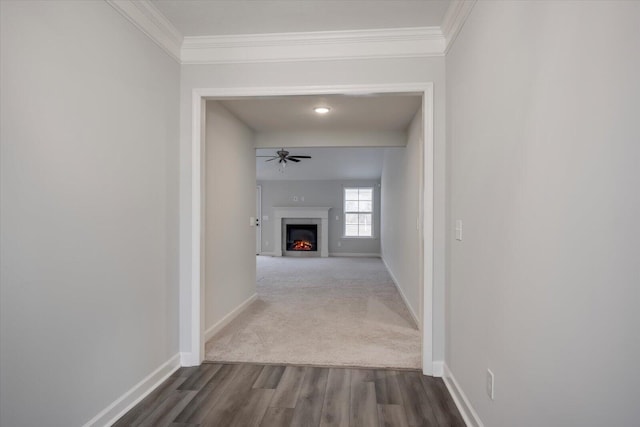 913 Goodale Dr, Augusta, GA 30909 - view of entrance to property