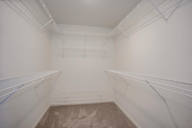 913 Goodale Dr, Augusta, GA 30909 - carpeted home office with ceiling fan