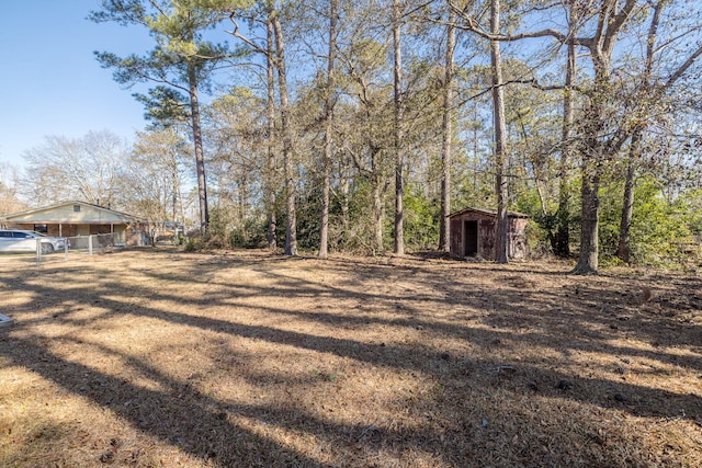 view of yard featuring a shed