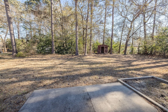 view of yard featuring a shed