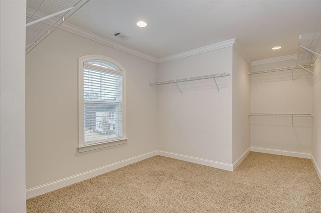 walk in closet featuring carpet flooring