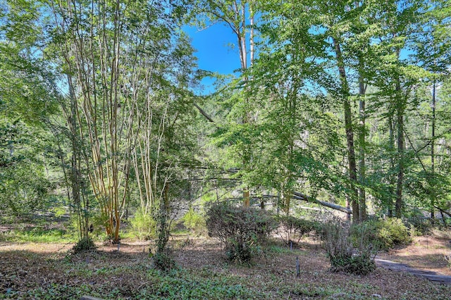 137 Ashwood Dr, North Augusta, SC 29860 - photo 71