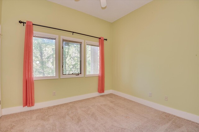 137 Ashwood Dr, North Augusta, SC 29860 - photo 45